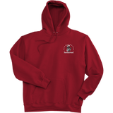 Phila Revolution Super Heavyweight Fleece Hoodie