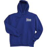 Secaucus Patriots Super Heavyweight Fleece Hoodie
