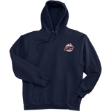 Metro Jets Super Heavyweight Fleece Hoodie