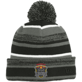 Danville Iron New Era Sideline Beanie